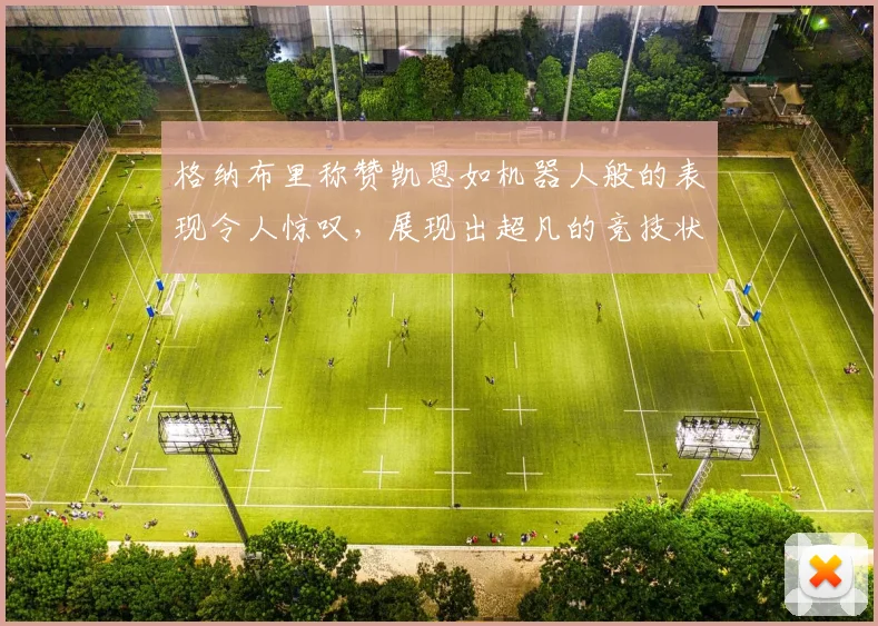 格纳布里称赞凯恩如机器人般的表现令人惊叹，展现出超凡的竞技状态