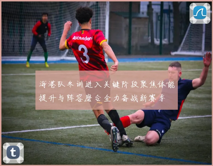 海港队冬训进入关键阶段聚焦体能提升与阵容磨合全力备战新赛季