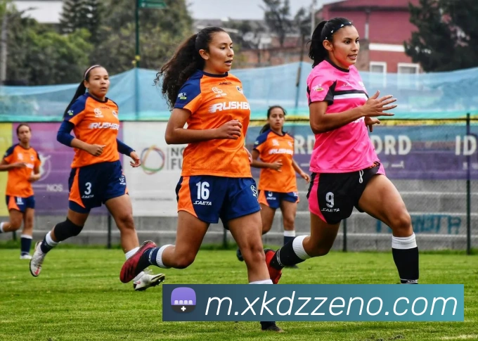 星空电子平台生态图